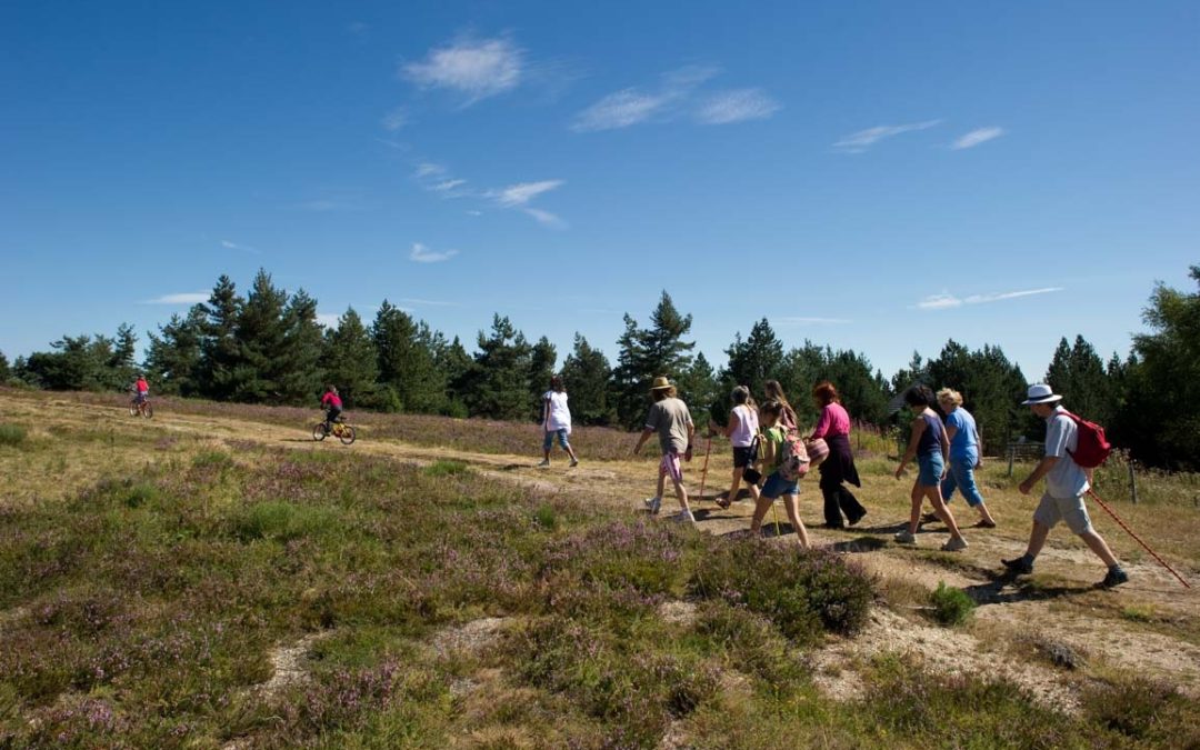 Animations estivales du Parc National des Cevennes