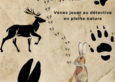 Sur les traces des animaux