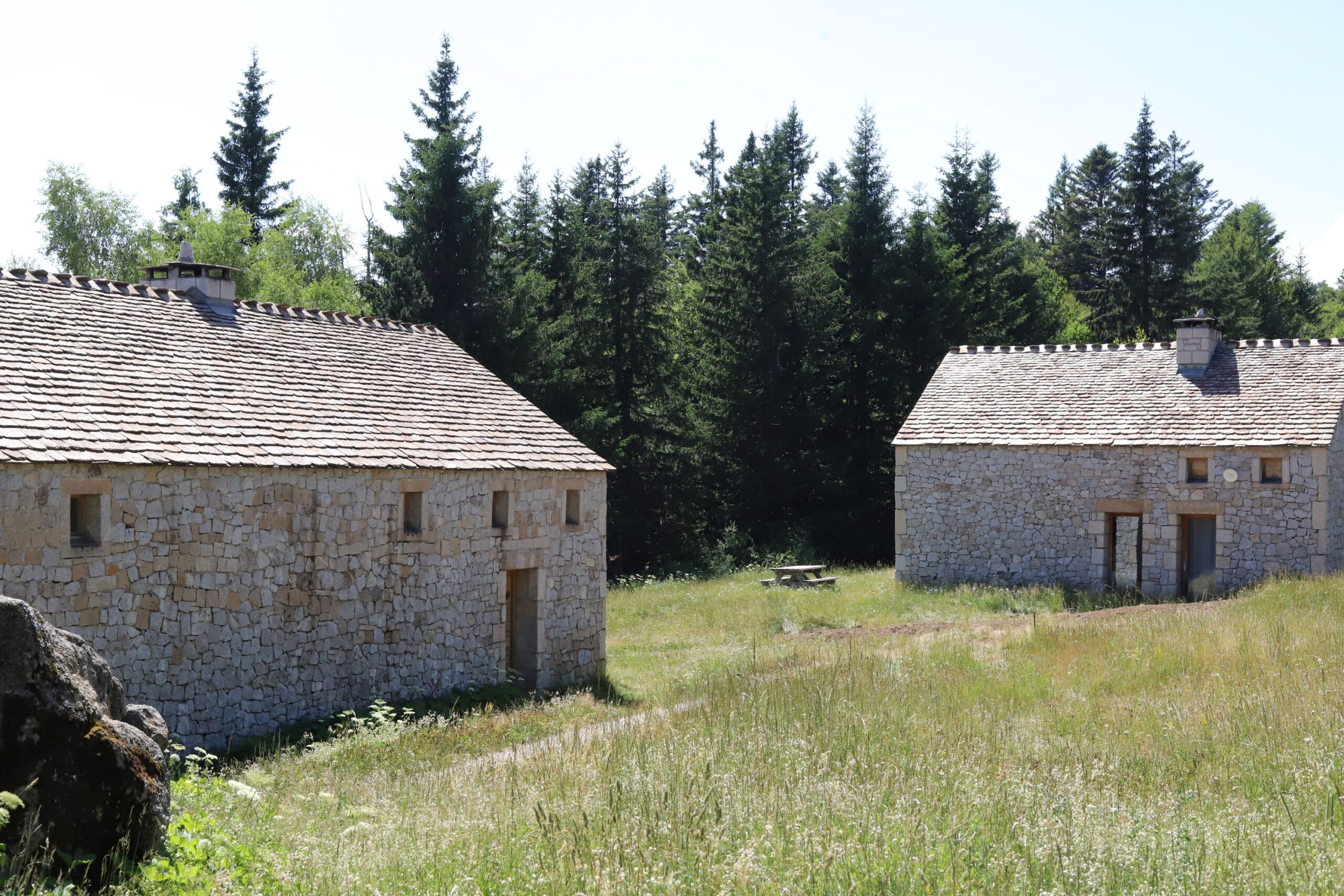 Mas de la Barque, Lozère Occitanie, Brame du Cerf, Rambouillet, France3 Île-de-France
