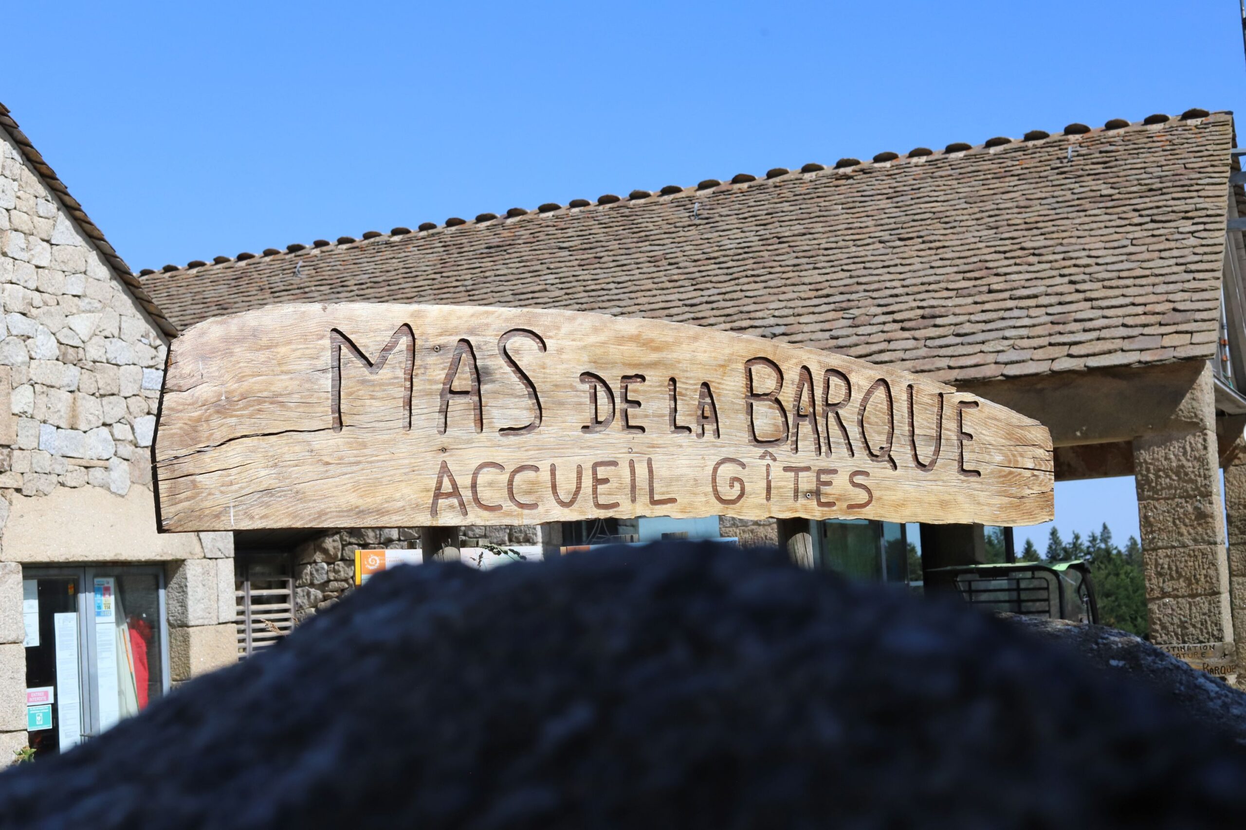 Mas de la Barque, Lozère Occitanie, Brame du Cerf, Rambouillet, France3 Île-de-France