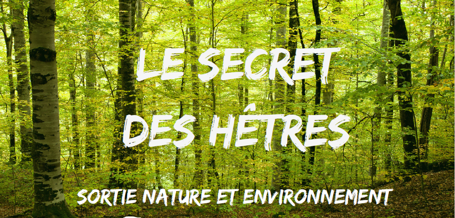 Secret des hêtres vtt mas de la barque lozere